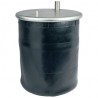 DIAPRES RVI 4912 1 TOMA 5010557355   X10