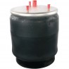 DIAPRES DAF 0388165 1697678 3 ESPARRAGOS