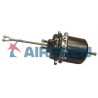 ACTUADOR 30N 30/30 M-16 81504106675
