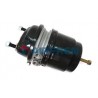 ACTUADOR DISCO 24/24 M22X150 1686001