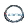CORONA ABS BPW 80 DIENTES ECO 0331008530